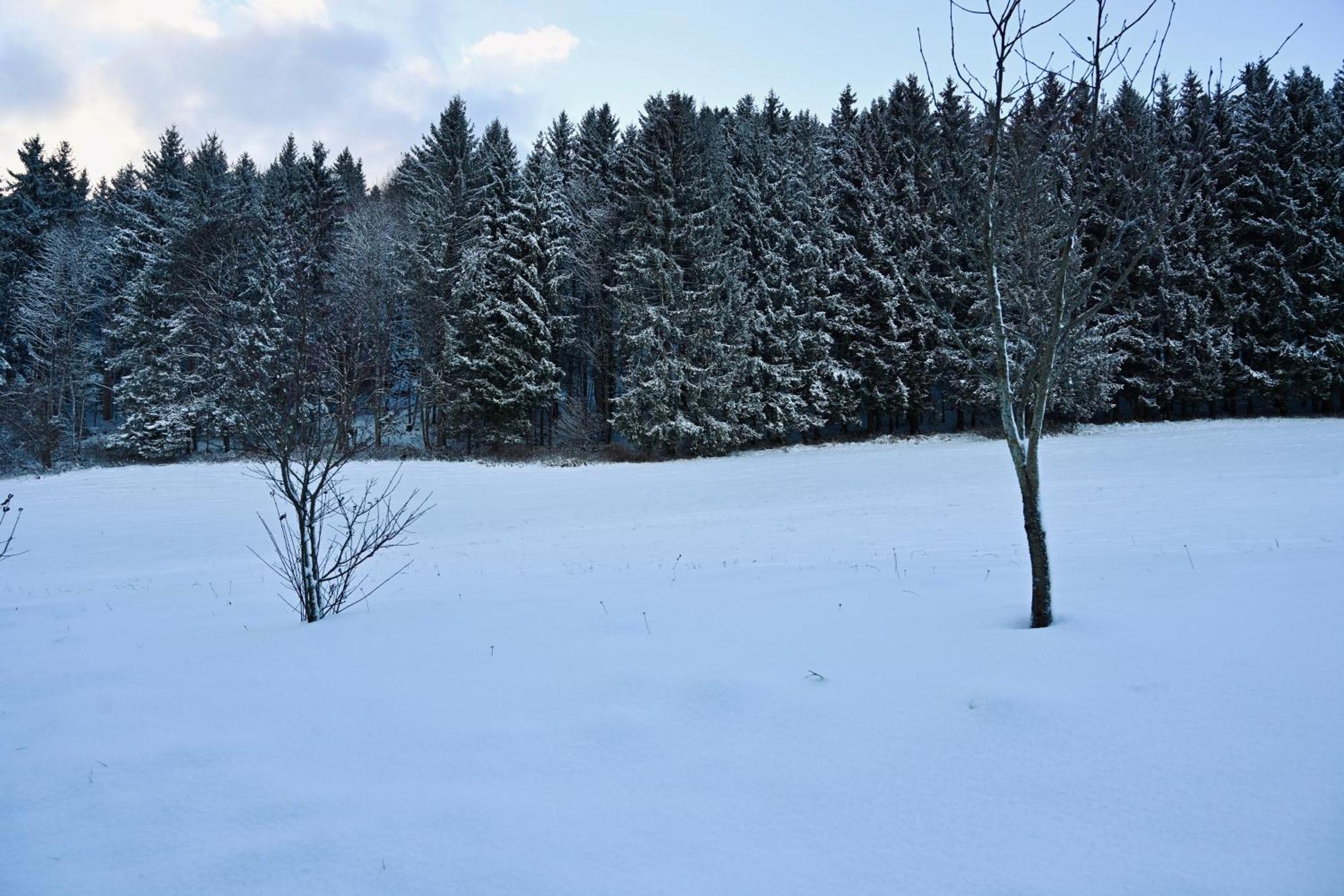 Aloha Suites - Alpin Lodge Haus Haus im Ennstal Zewnętrze zdjęcie