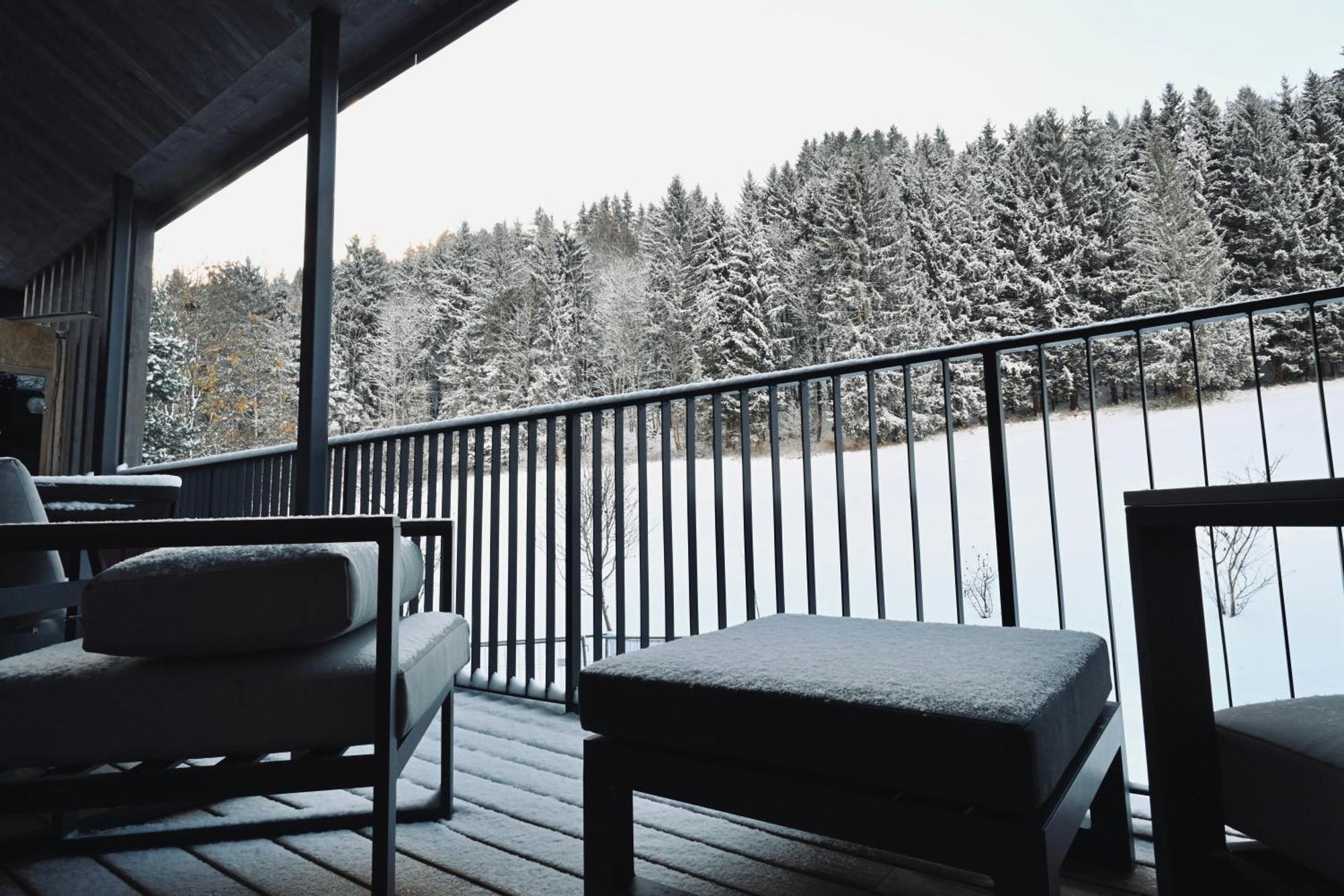 Aloha Suites - Alpin Lodge Haus Haus im Ennstal Zewnętrze zdjęcie