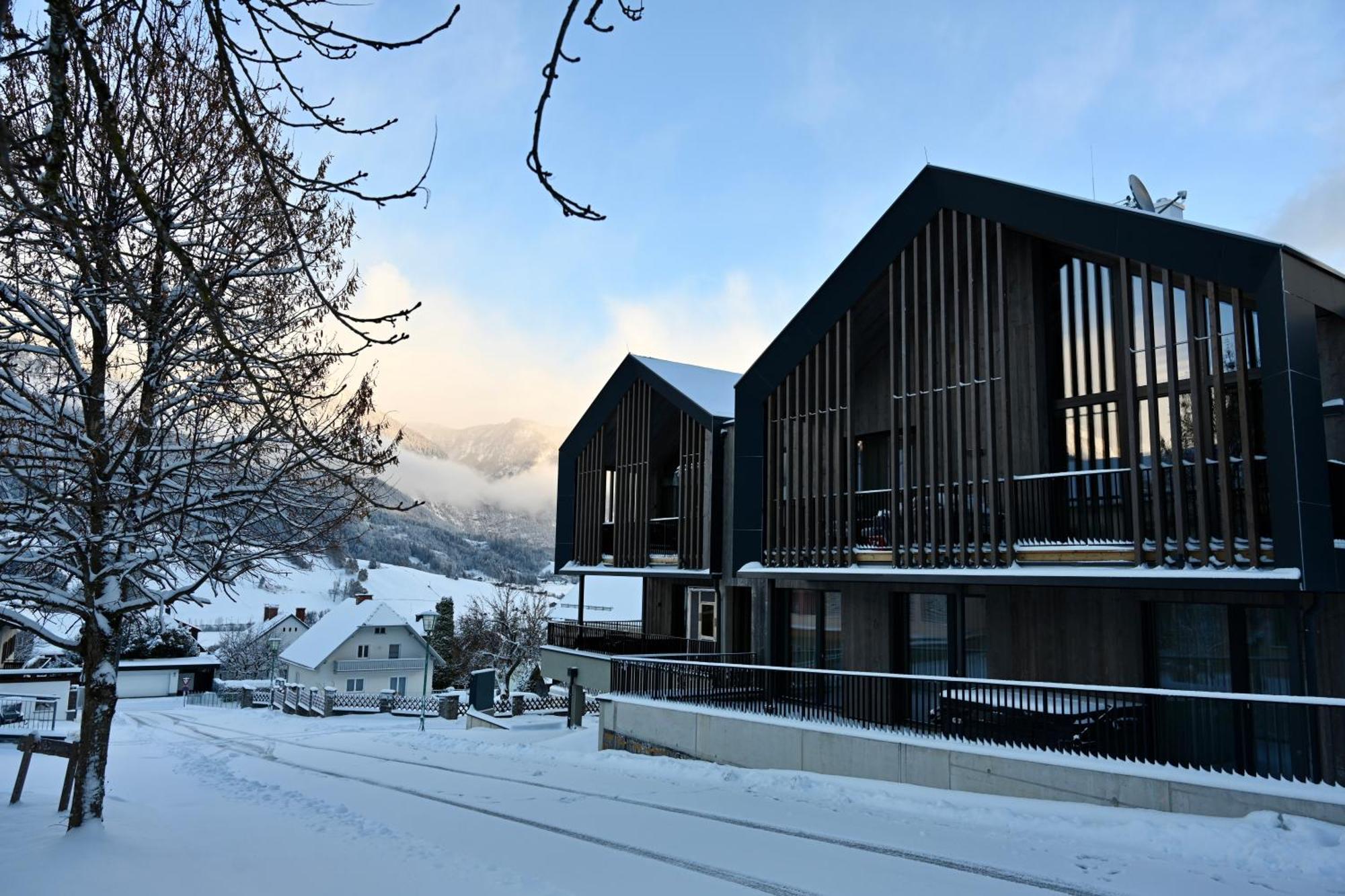 Aloha Suites - Alpin Lodge Haus Haus im Ennstal Zewnętrze zdjęcie